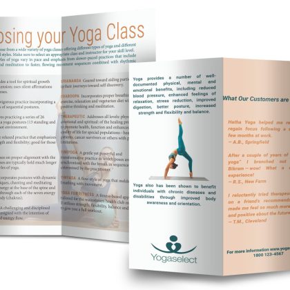 Promotional brochure